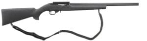 ruger 10 22 for sale