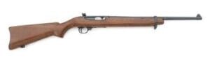 ruger xgi